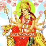 Aaye Navrate Vol. 2 - Sushil Shinde Song Download